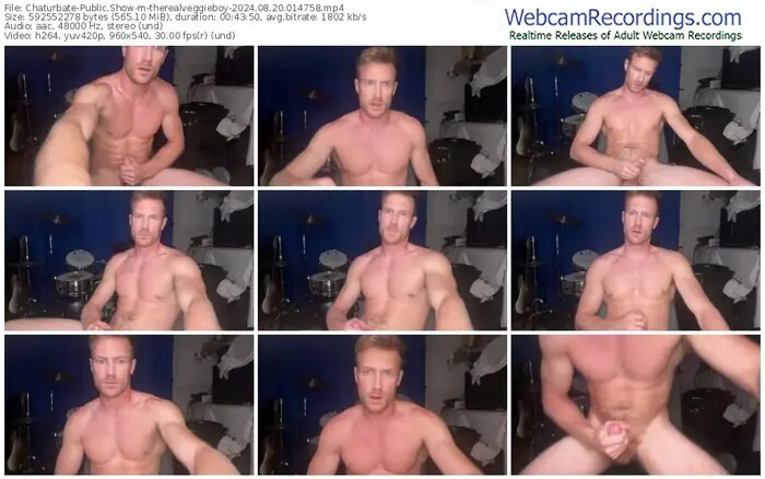 chaturbate-therealveggieboy-08-20-2024-01-47-58