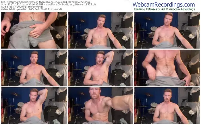 chaturbate-therealveggieboy-08-22-2024-00-45-58