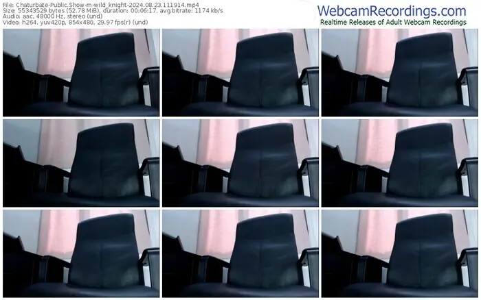 chaturbate-wild_knight-08-23-2024-11-19-14