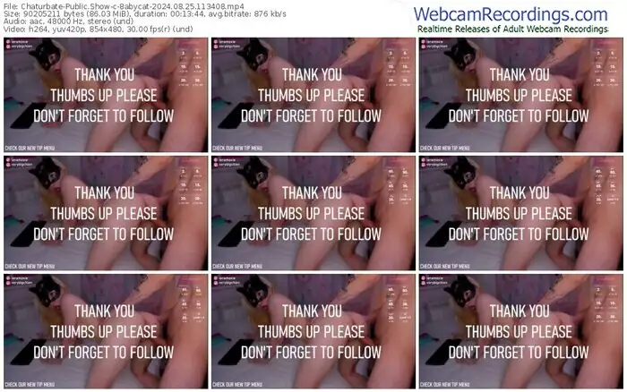 chaturbate-8abycat-08-25-2024-11-34-08