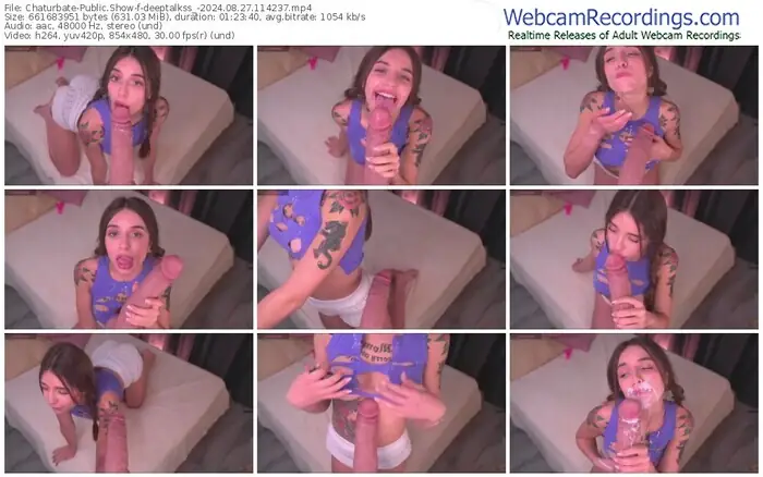 chaturbate-deeptalkss_-08-27-2024-11-42-37