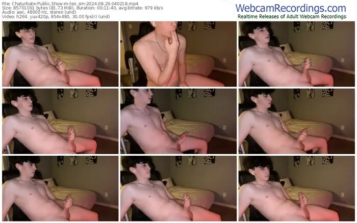 chaturbate-leo_sin-08-29-2024-04-02-18