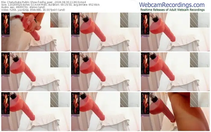 chaturbate-sofia_goez_-08-30-2024-11-26-19