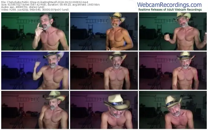 chaturbate-badnightwolf-09-02-2024-00-06-32