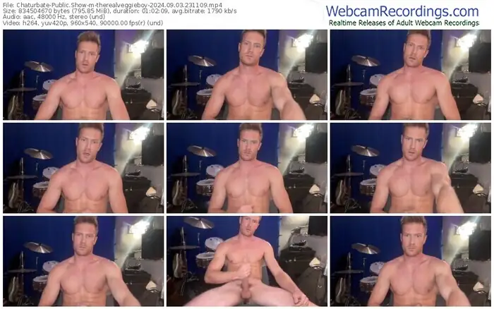 chaturbate-therealveggieboy-09-03-2024-23-11-09