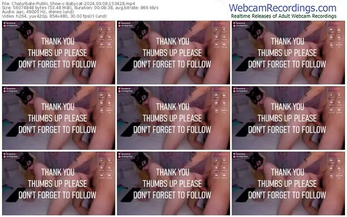 chaturbate-8abycat-09-08-2024-15-34-28