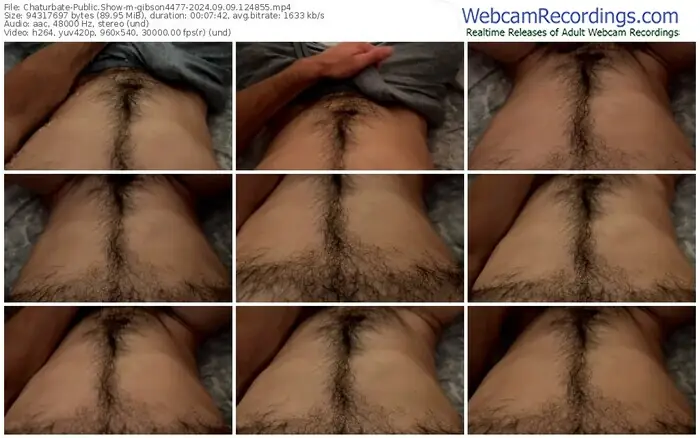 chaturbate-gibson4477-09-09-2024-12-48-55