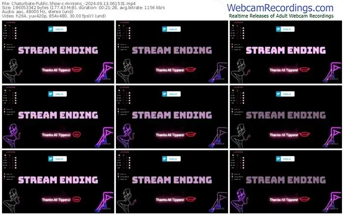 chaturbate-minions_-09-13-2024-06-15-31