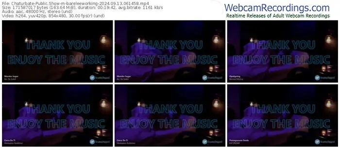 chaturbate-bareleeworking-09-13-2024-06-14-58