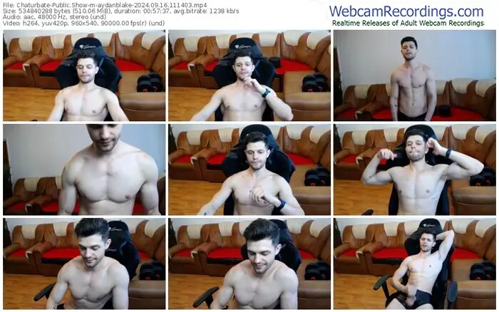 chaturbate-aydanblake-09-16-2024-11-14-03