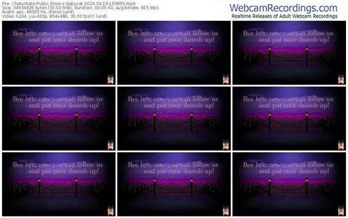 chaturbate-8abycat-09-19-2024-16-39-55