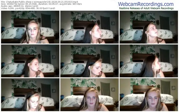 chaturbate-wineguzzler101-09-21-2024-05-19-10