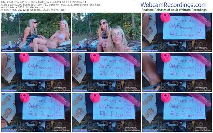 chaturbate-ells_palace-09-21-2024-21-56-03