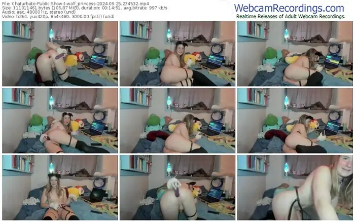 chaturbate-wolf_princess-09-25-2024-23-45-32