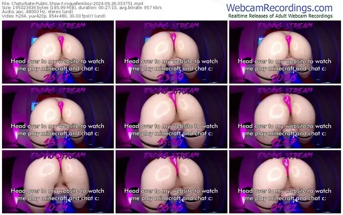 chaturbate-roguefemboy-09-26-2024-03-37-51