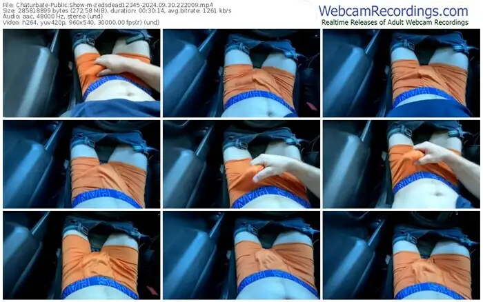 chaturbate-zedsdead12345-09-30-2024-22-20-09