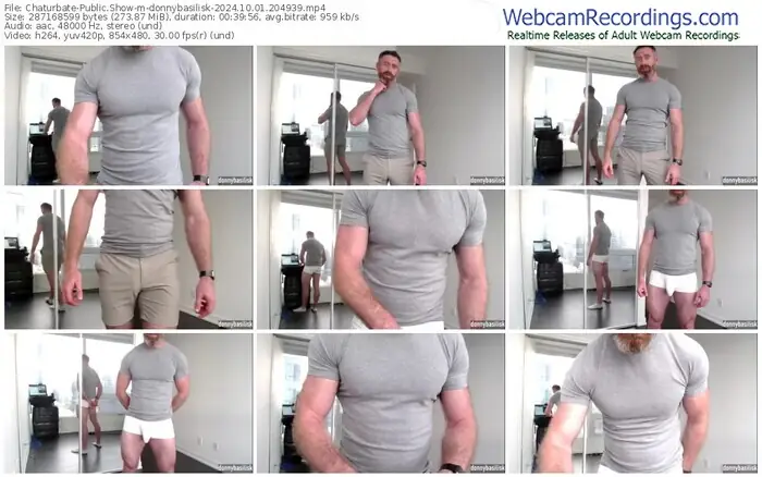 chaturbate-donnybasilisk-10-01-2024-20-49-39