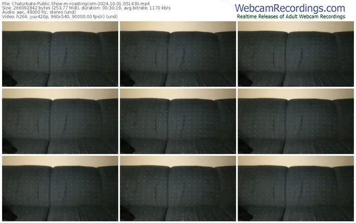 chaturbate-roastingcorn-10-01-2024-05-14-30