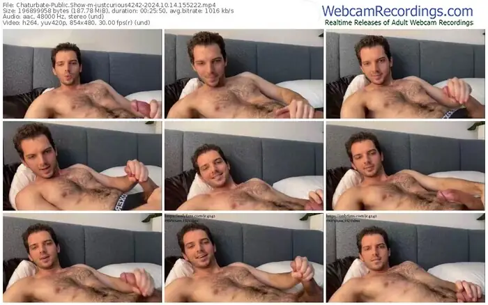 chaturbate-justcurious4242-10-14-2024-15-52-22