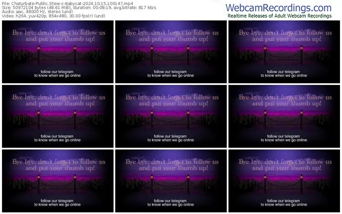 chaturbate-8abycat-10-15-2024-10-01-47