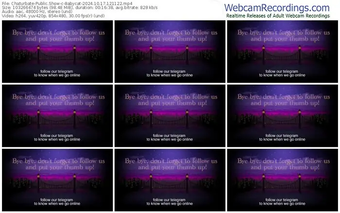 chaturbate-8abycat-10-17-2024-12-11-22