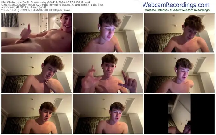 chaturbate-rhys200411-10-17-2024-21-57-01