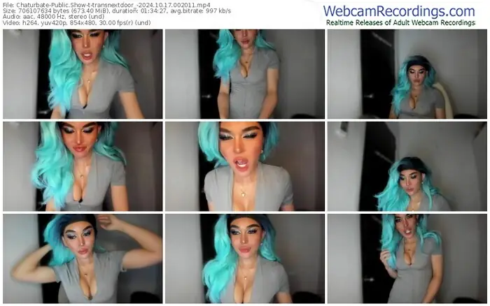 chaturbate-transnextdoor_-10-17-2024-00-20-11