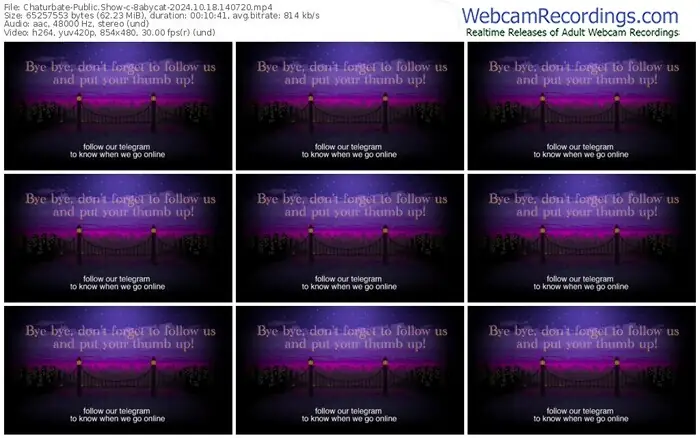 chaturbate-8abycat-10-18-2024-14-07-20