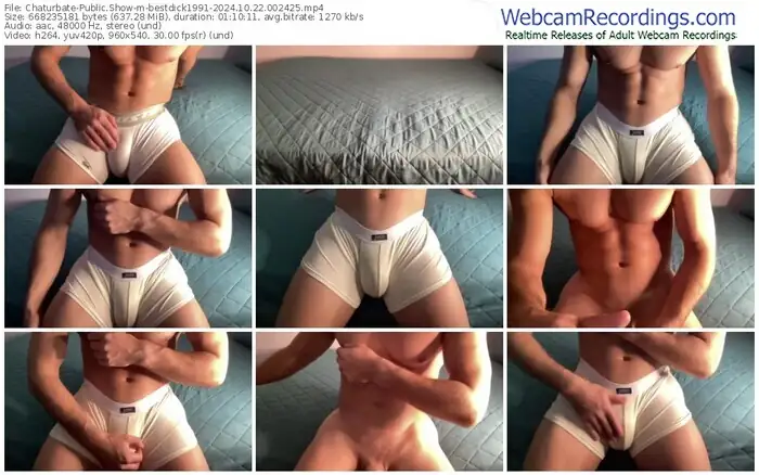 chaturbate-bestdick1991-10-22-2024-00-24-25