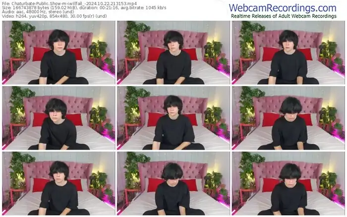 chaturbate-iwillfall_-10-22-2024-21-31-53