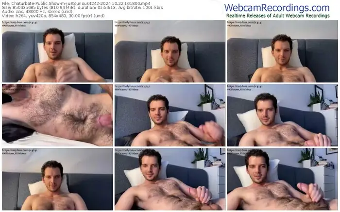 chaturbate-justcurious4242-10-22-2024-16-18-00