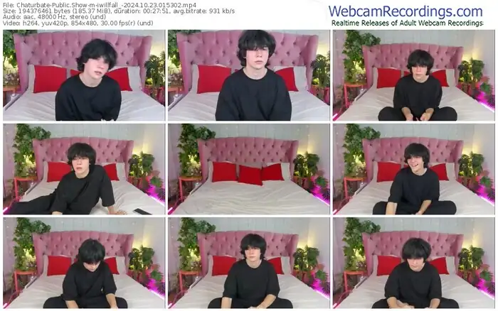 chaturbate-iwillfall_-10-23-2024-01-53-02