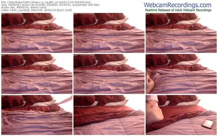 chaturbate-u_caught_us-10-29-2024-03-04-36