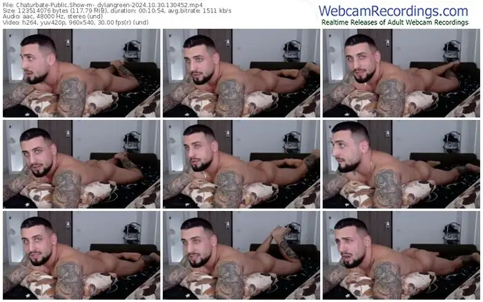 chaturbate-_dylangreen-10-30-2024-13-04-52