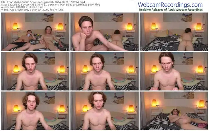 chaturbate-pupsenish-10-30-2024-19-32-24