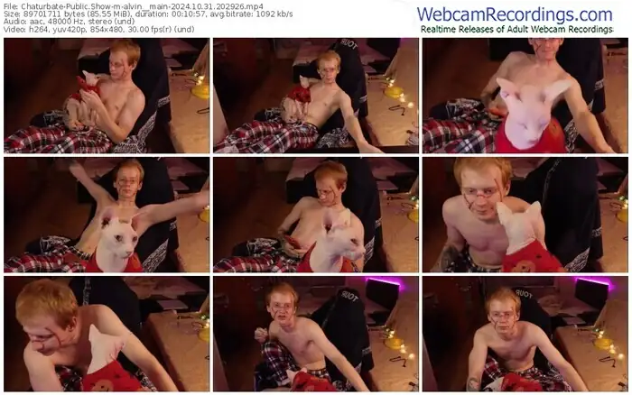 chaturbate-alvin__main-10-31-2024-20-29-26