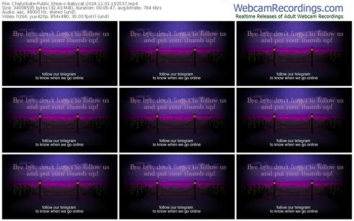 chaturbate-8abycat-11-01-2024-19-25-37