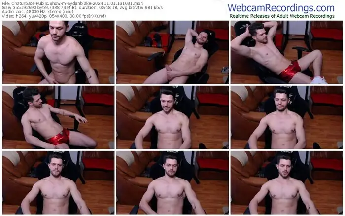 chaturbate-aydanblake-11-01-2024-13-10-31