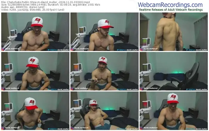 chaturbate-david_muller_-11-01-2024-03-33-02