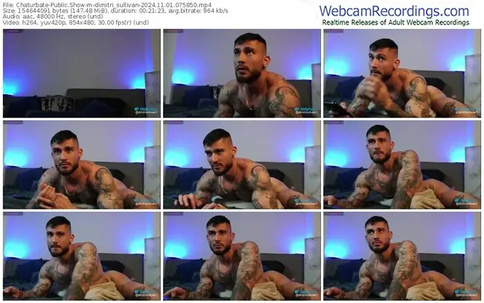 chaturbate-dimitri_sullivan-11-01-2024-07-58-50