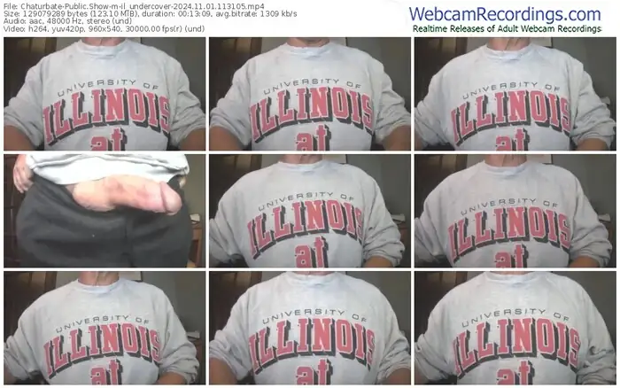 chaturbate-il_undercover-11-01-2024-11-31-05