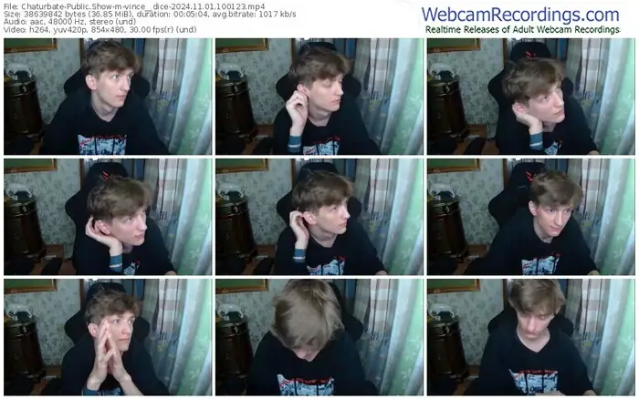 chaturbate-vince__dice-11-01-2024-10-01-23