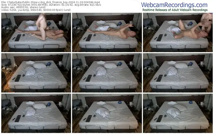 chaturbate-big_dick_finance_boy-11-03-2024-00-43-44