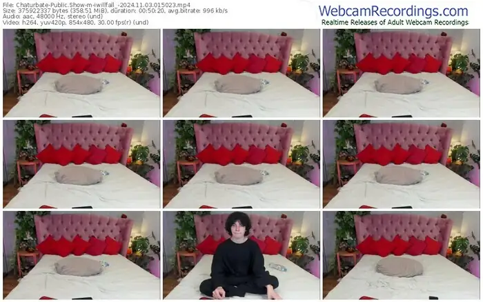 chaturbate-iwillfall_-11-03-2024-01-50-23