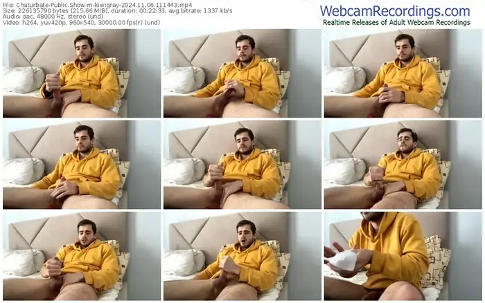 chaturbate-kiwigray-11-06-2024-11-14-43