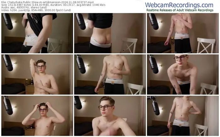 chaturbate-artdimension-11-08-2024-00-37-37