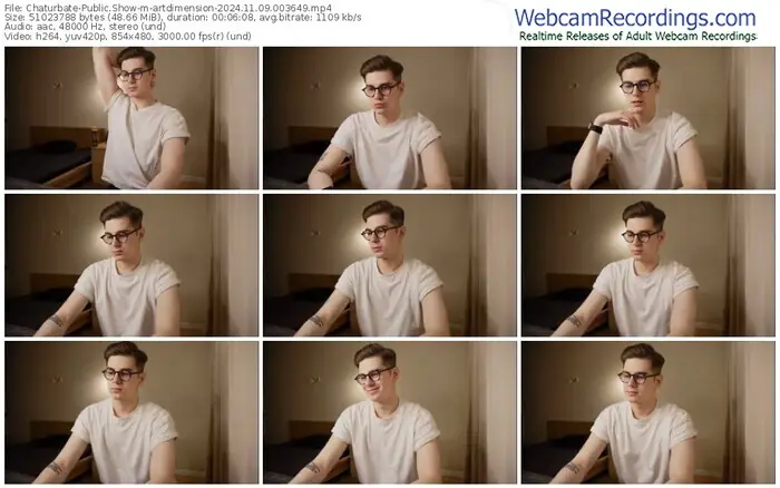 chaturbate-artdimension-11-09-2024-00-36-49