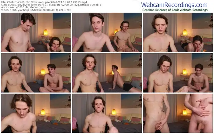 chaturbate-pupsenish-11-09-2024-17-30-13