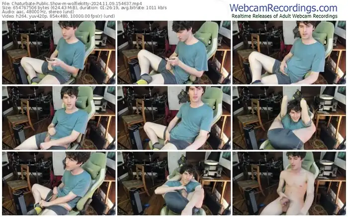 chaturbate-wolfiekitty-11-09-2024-15-46-37