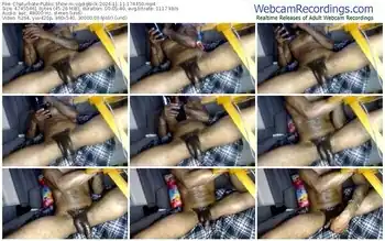 chaturbate-ogdigbick-11-11-2024-17-44-50